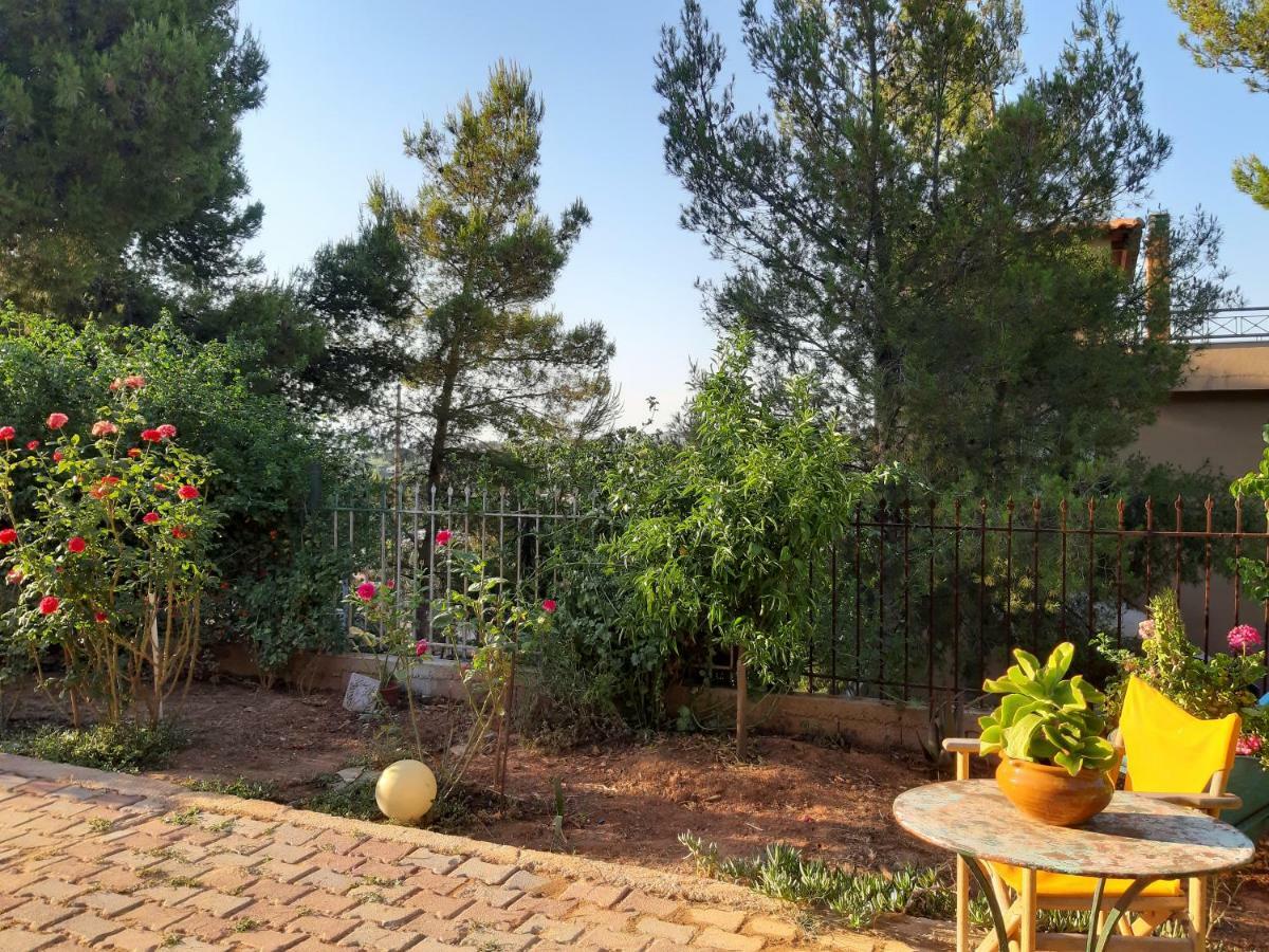 فيلا Litsas'Cozy House Pórto Ráfti المظهر الخارجي الصورة