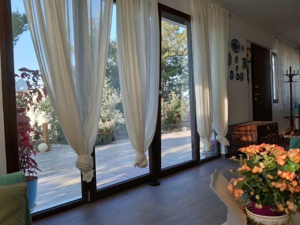 فيلا Litsas'Cozy House Pórto Ráfti المظهر الخارجي الصورة
