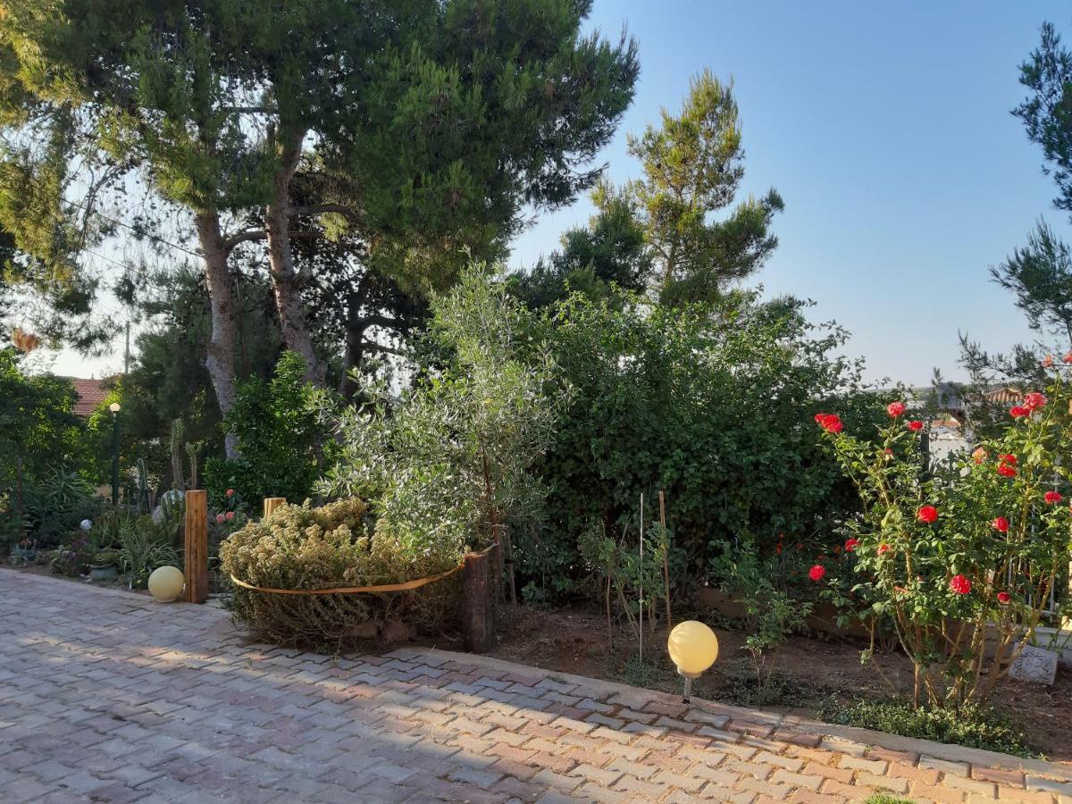 فيلا Litsas'Cozy House Pórto Ráfti المظهر الخارجي الصورة
