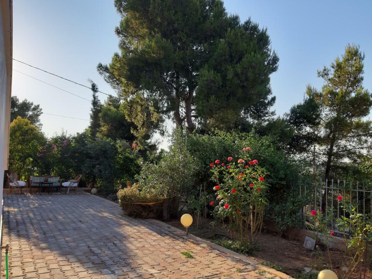 فيلا Litsas'Cozy House Pórto Ráfti المظهر الخارجي الصورة